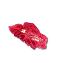 Hairclip Recuerdos